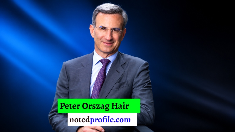 Peter Orszag Hair